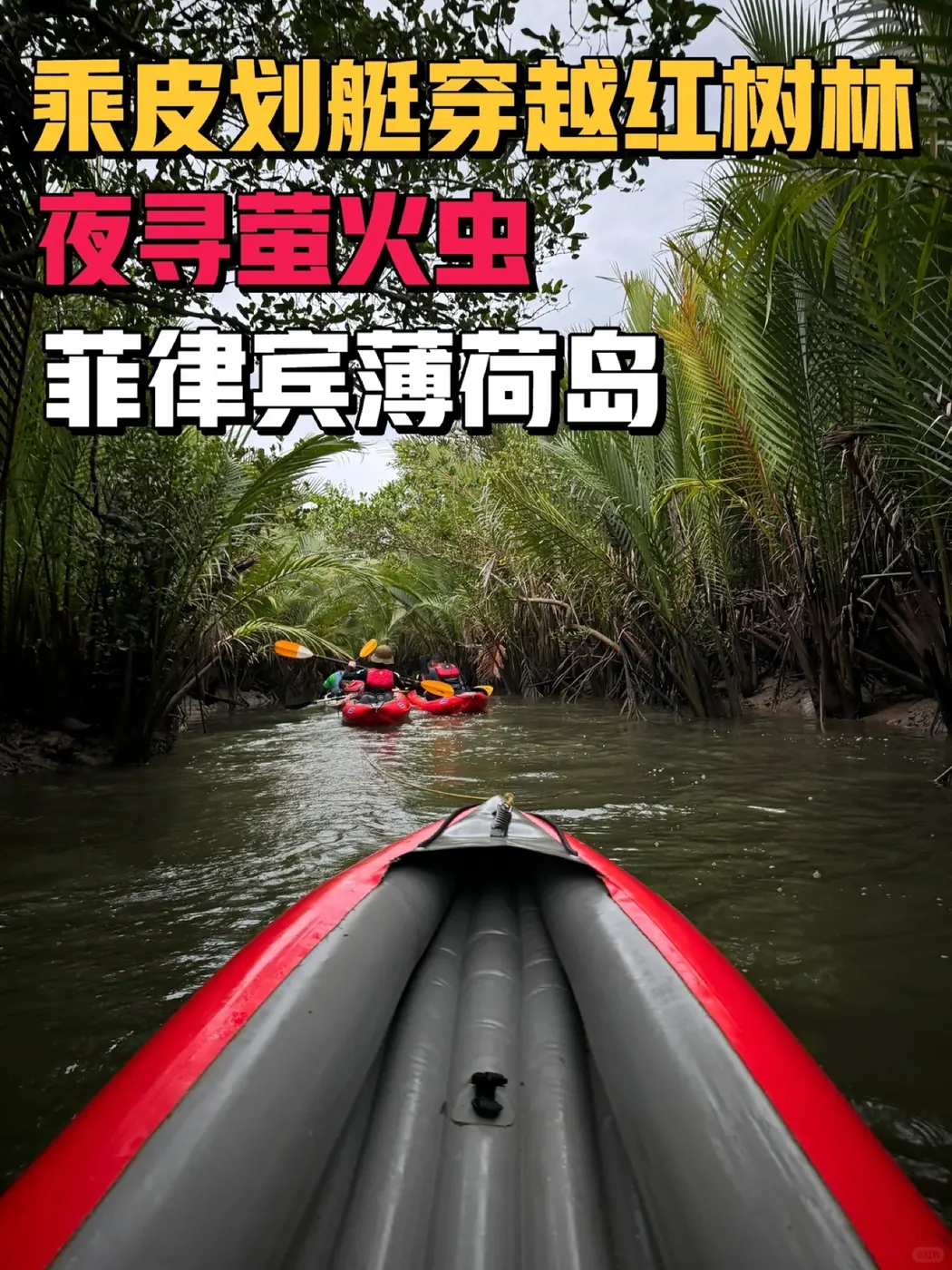 刘刘一家在菲律宾薄荷岛体验红树林皮划艇